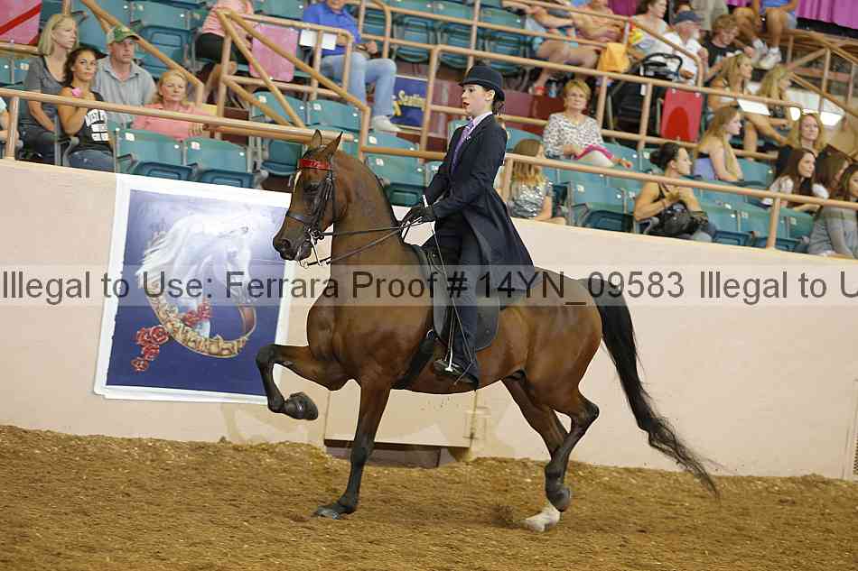 Proof 14yn_09583
