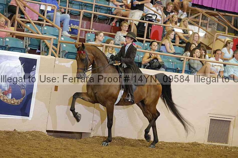Proof 14yn_09584