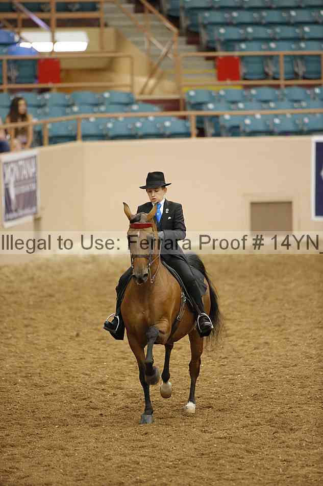 Proof 14yn_09585