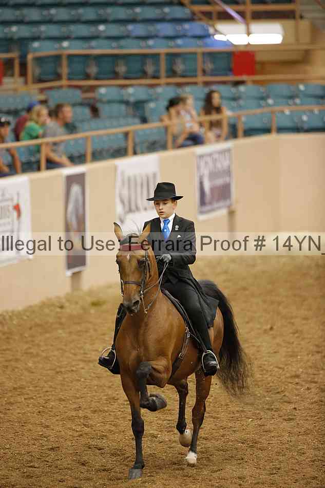 Proof 14yn_09586