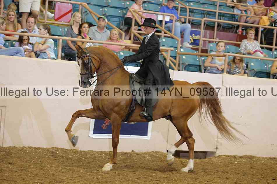 Proof 14yn_09587