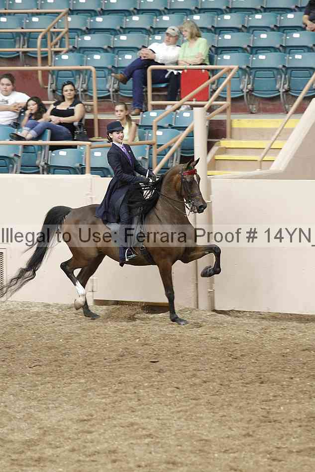Proof 14yn_09588