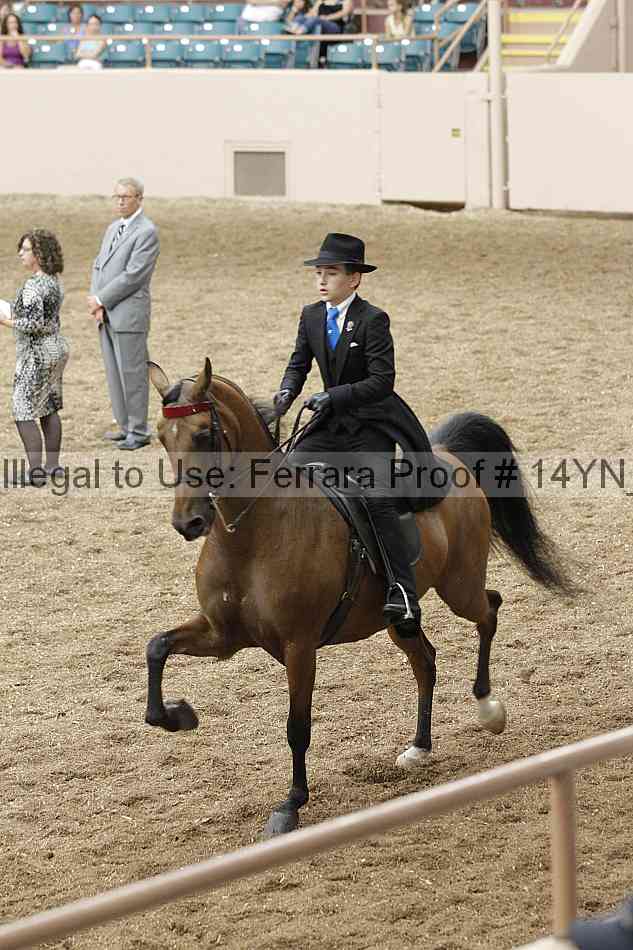Proof 14yn_09589