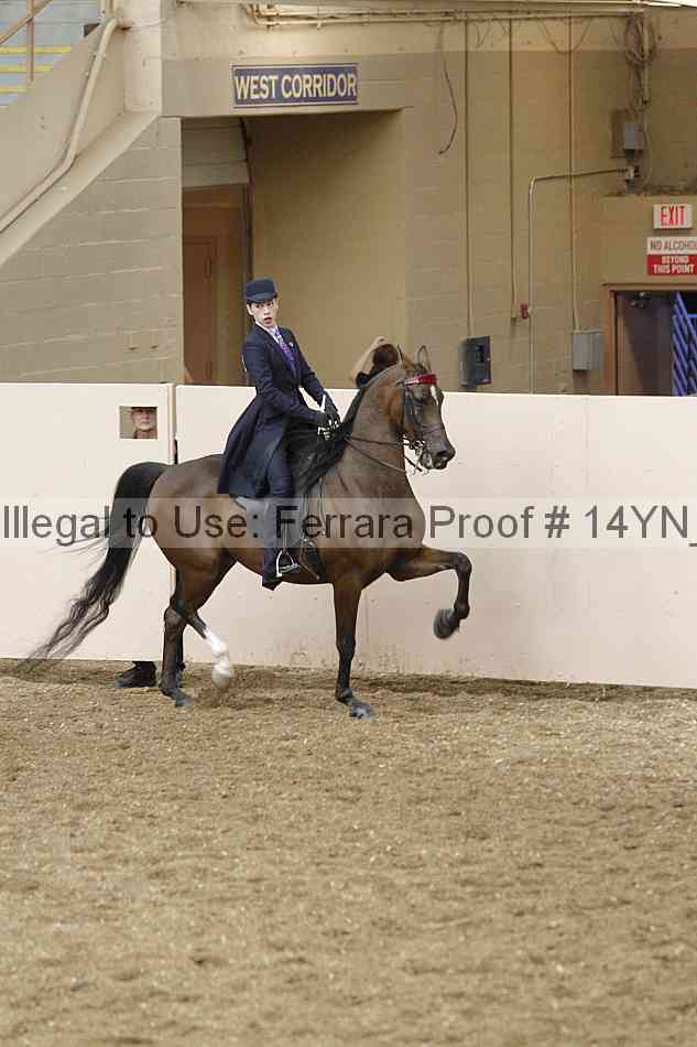 Proof 14yn_09590