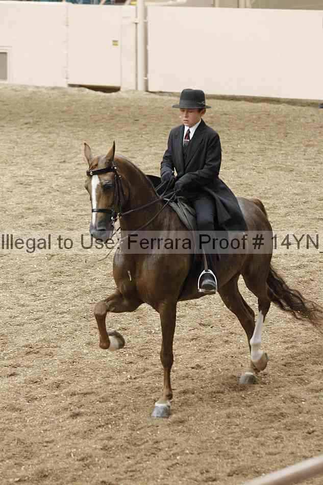Proof 14yn_09591