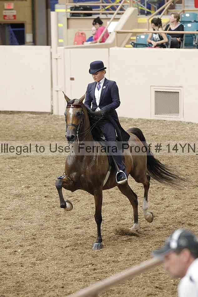 Proof 14yn_09594