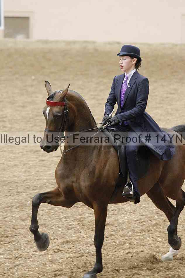 Proof 14yn_09595