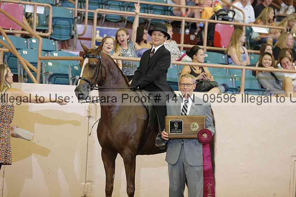 Proof 14yn_09596