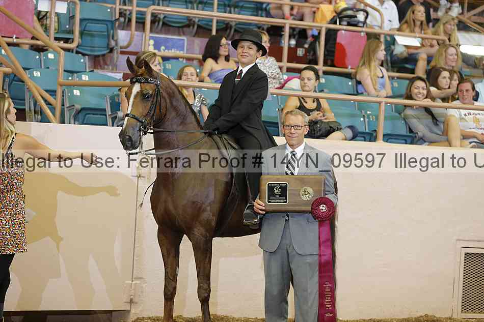 Proof 14yn_09597