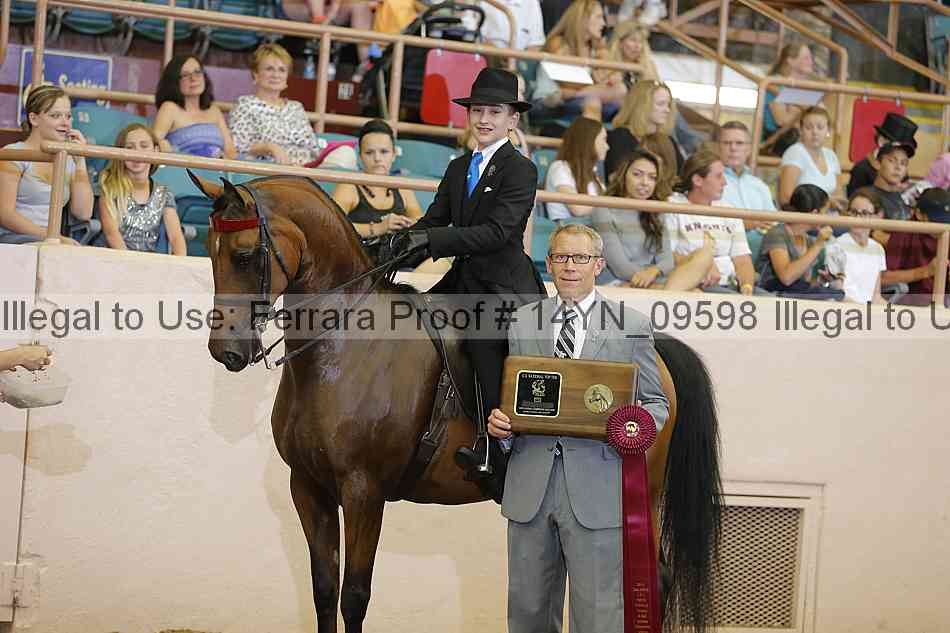 Proof 14yn_09598