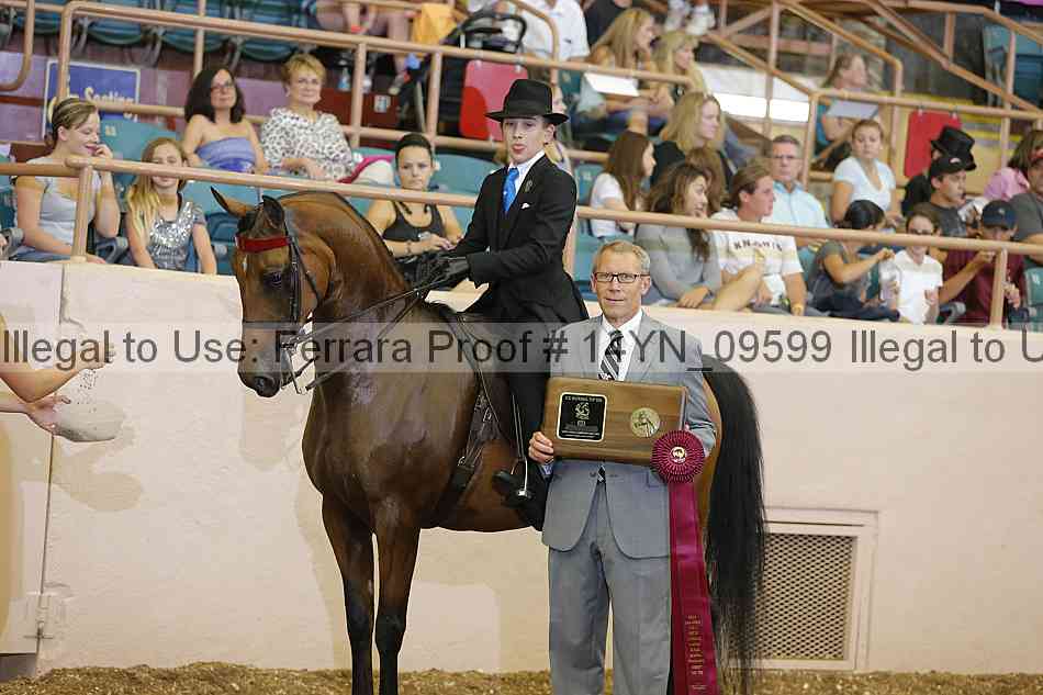 Proof 14yn_09599