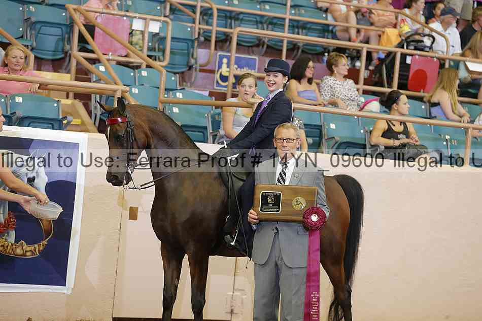 Proof 14yn_09600