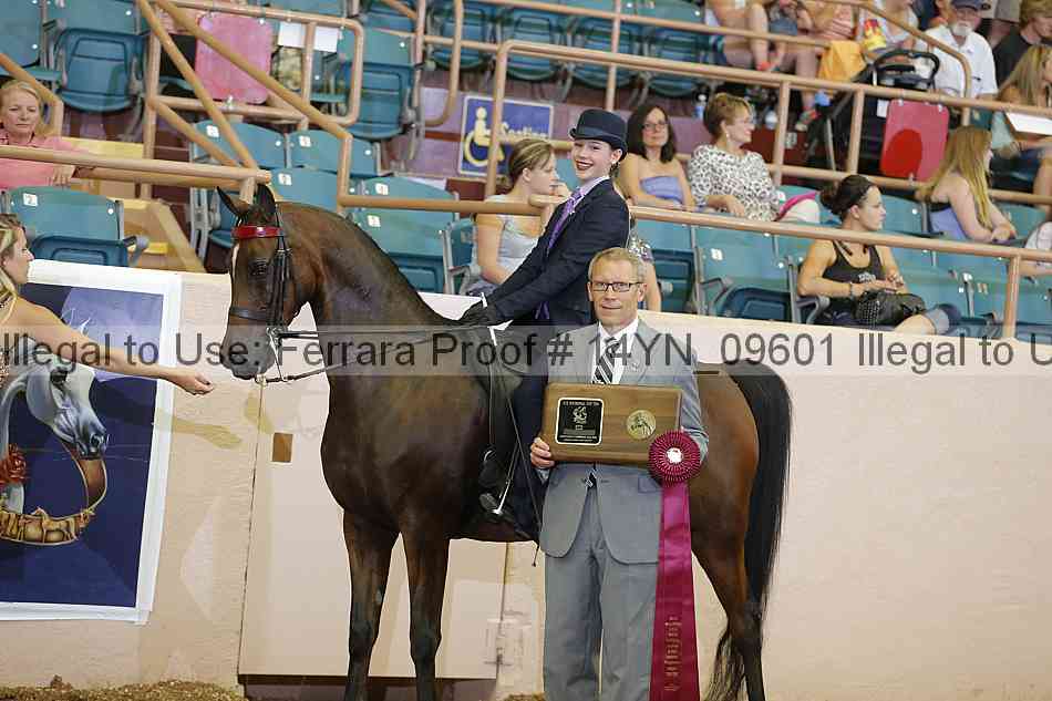 Proof 14yn_09601