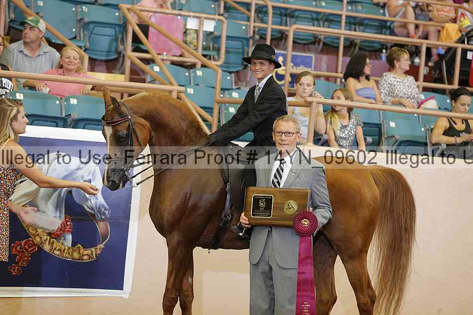 Proof 14yn_09602