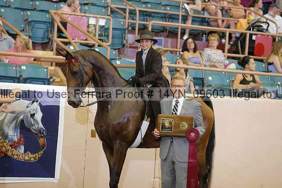 Proof 14yn_09603