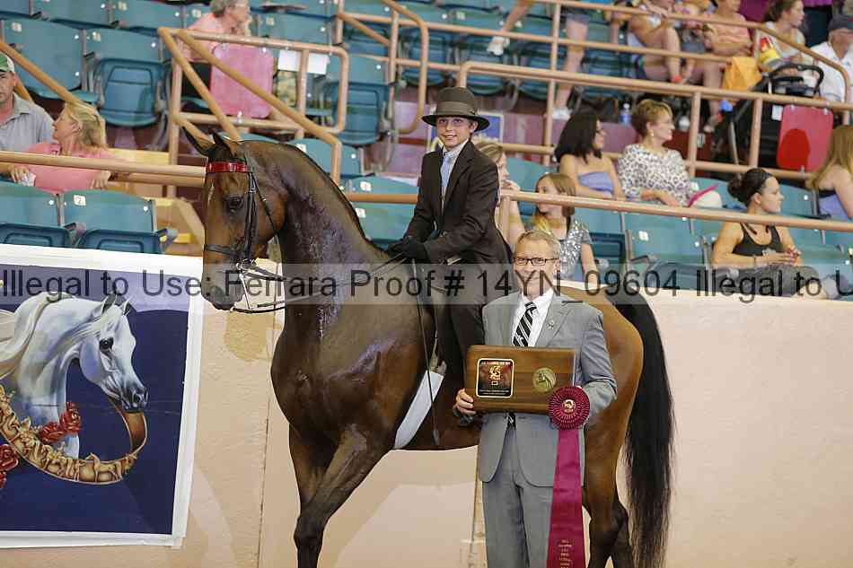 Proof 14yn_09604