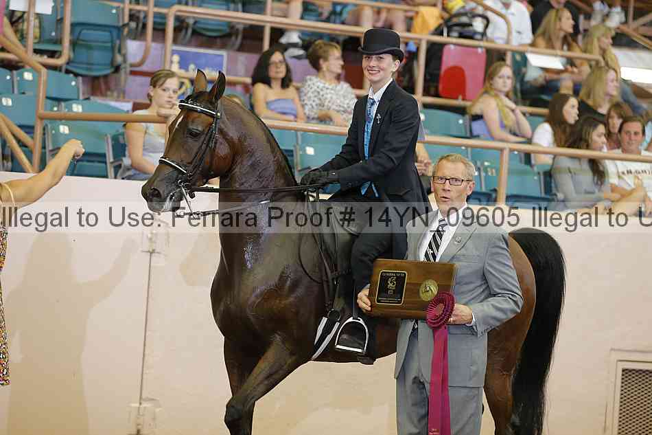 Proof 14yn_09605