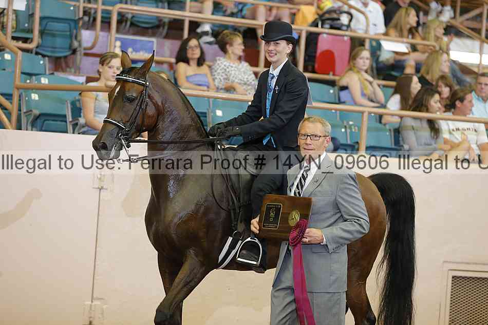 Proof 14yn_09606