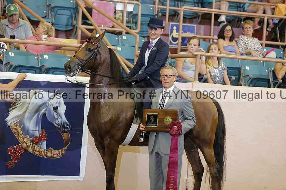 Proof 14yn_09607
