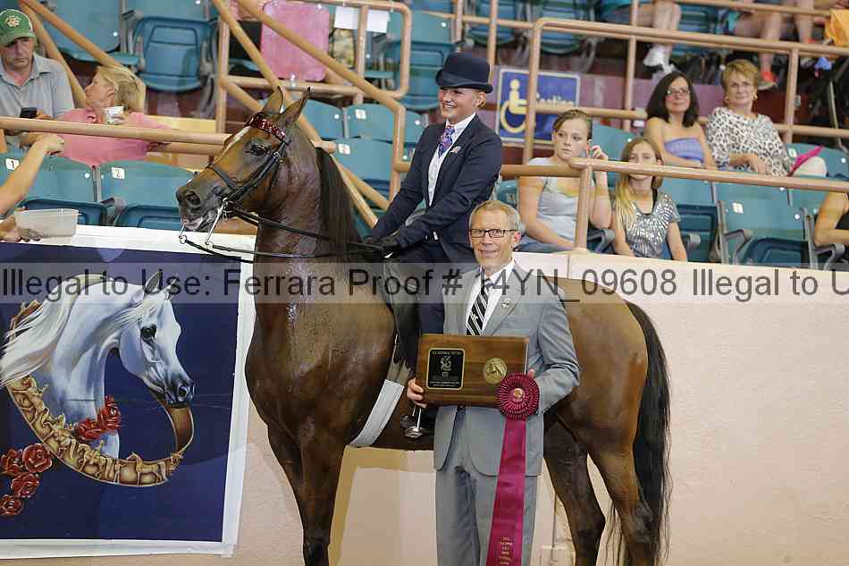 Proof 14yn_09608