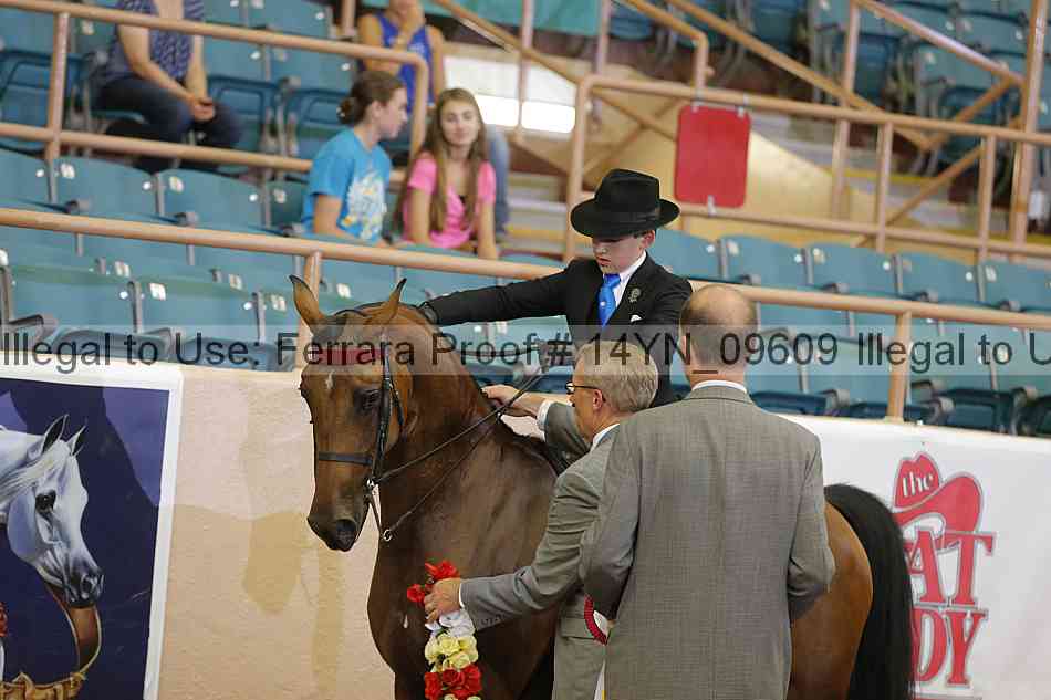 Proof 14yn_09609