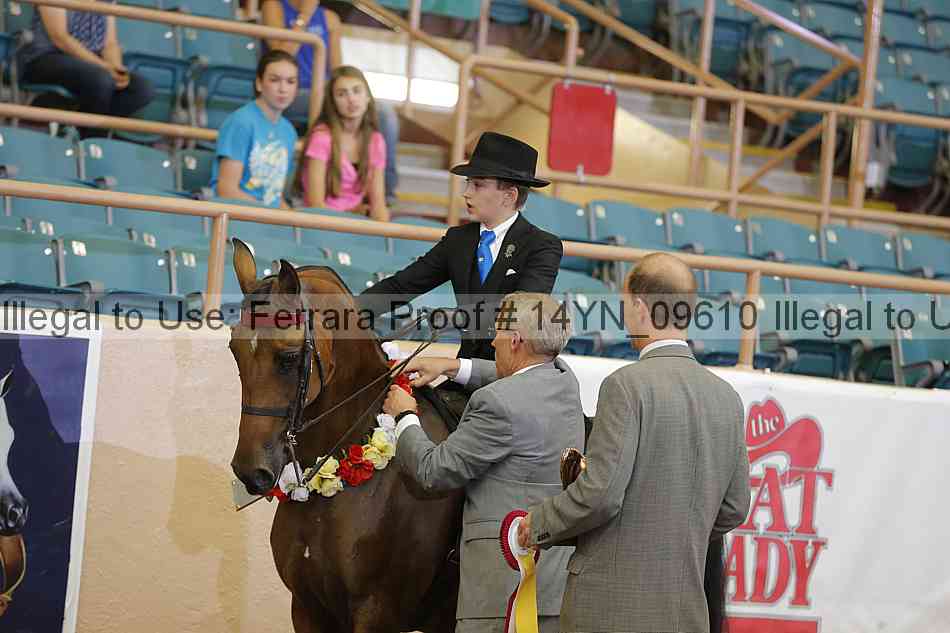 Proof 14yn_09610