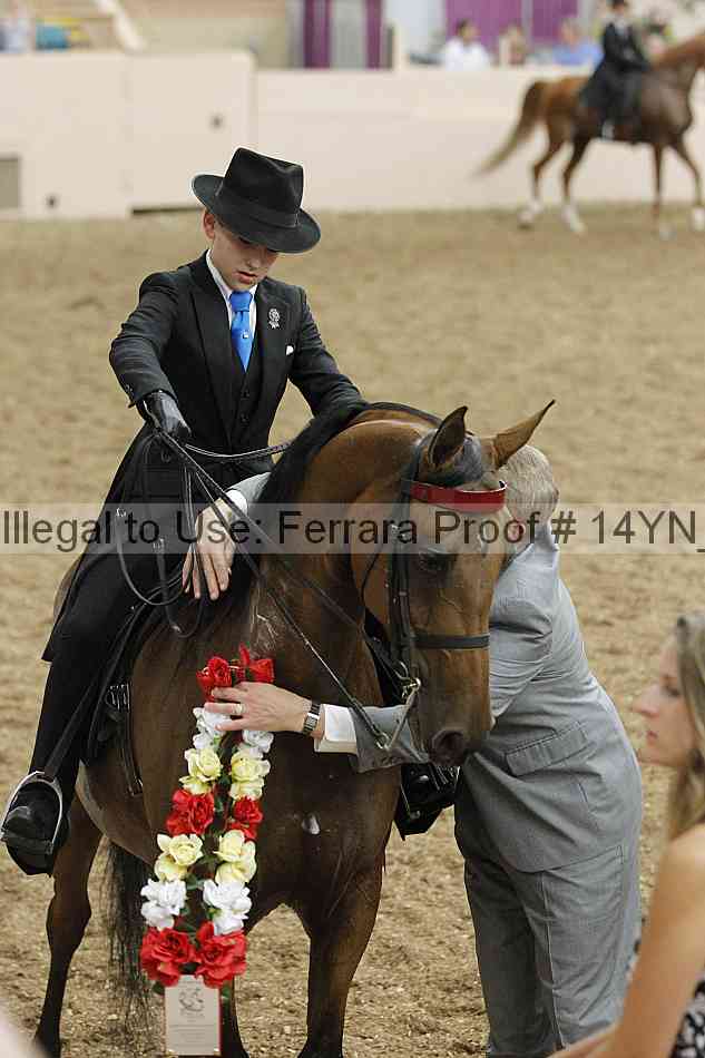 Proof 14yn_09611