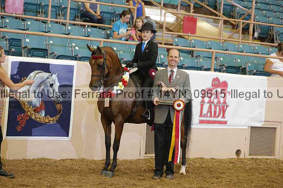 Proof 14yn_09615