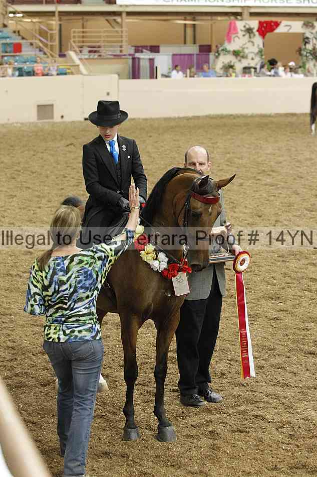 Proof 14yn_09616