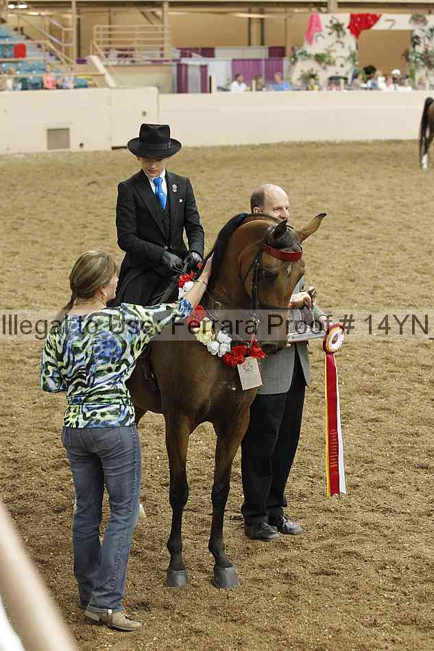 Proof 14yn_09617