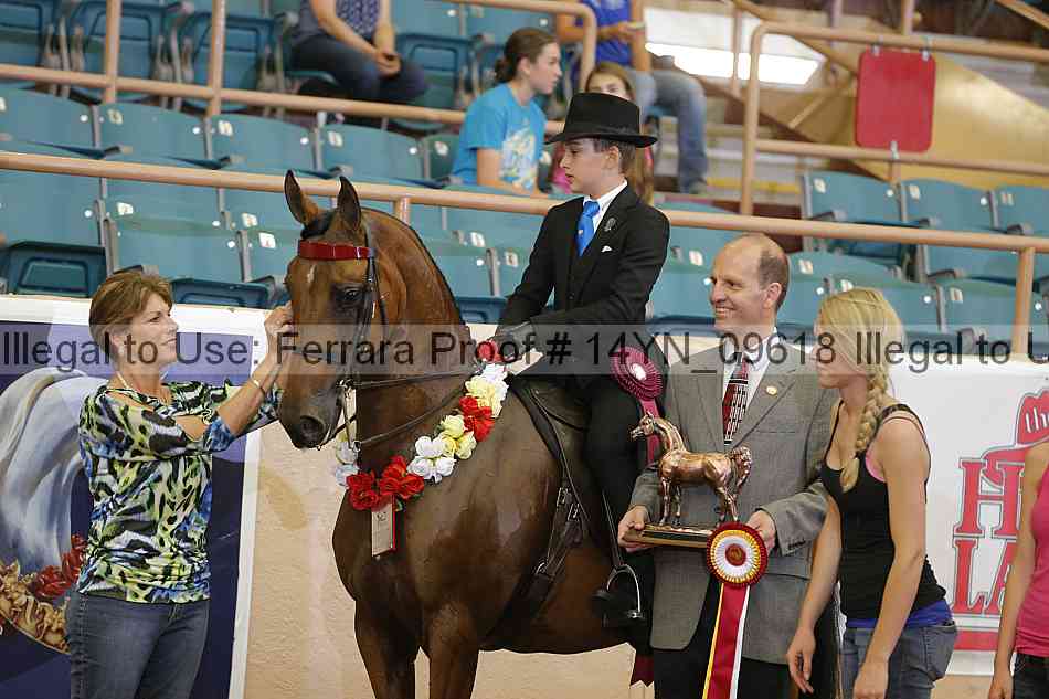Proof 14yn_09618