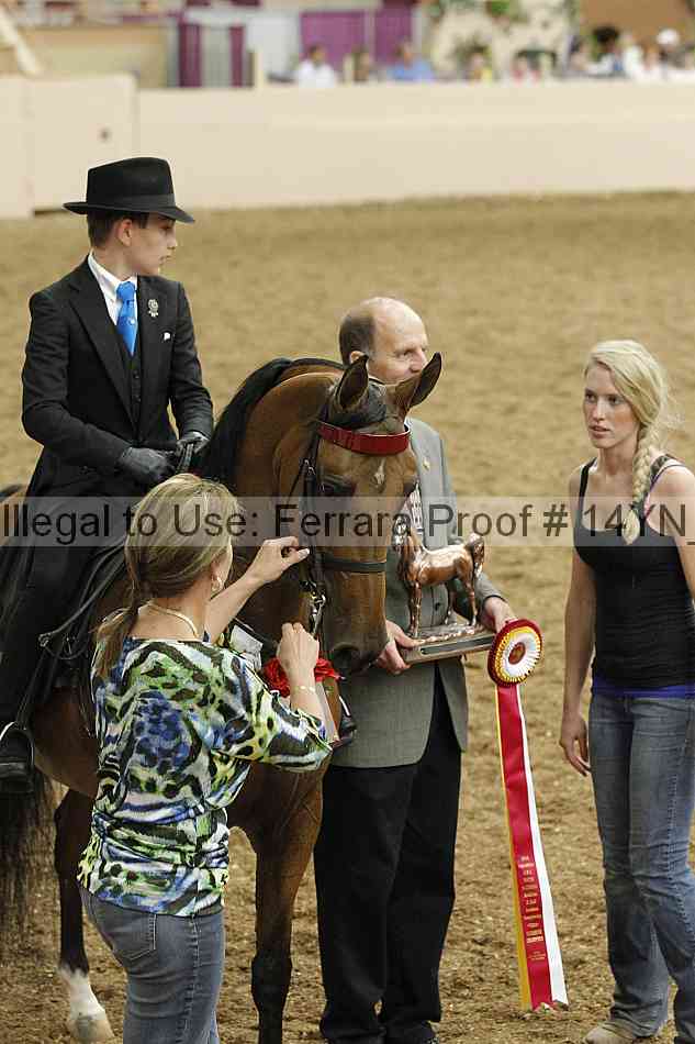 Proof 14yn_09619