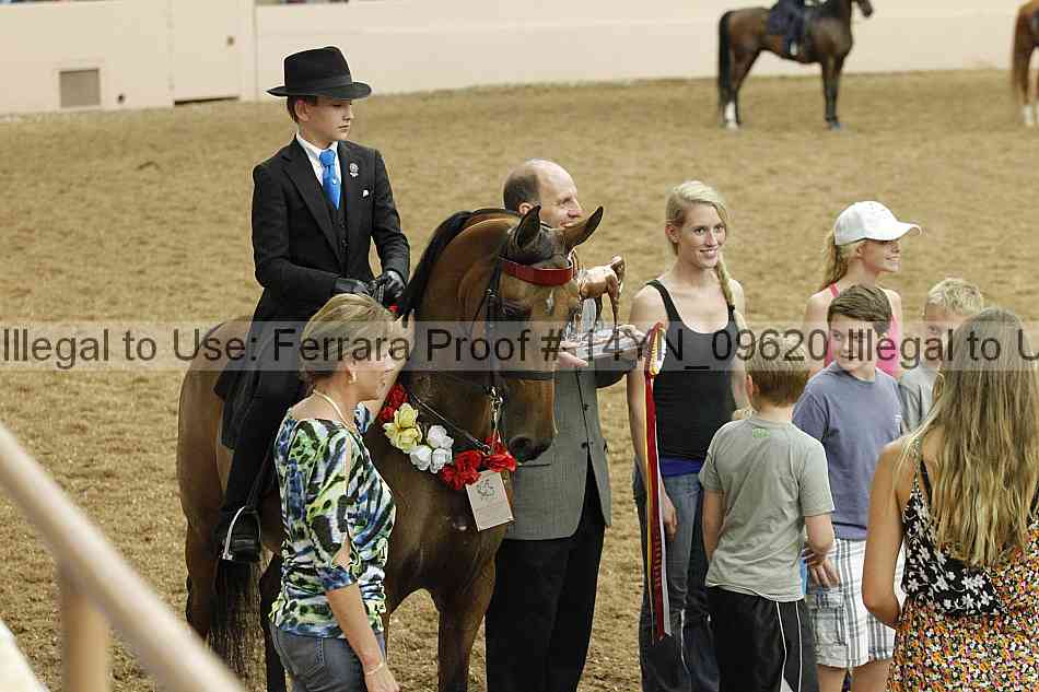 Proof 14yn_09620
