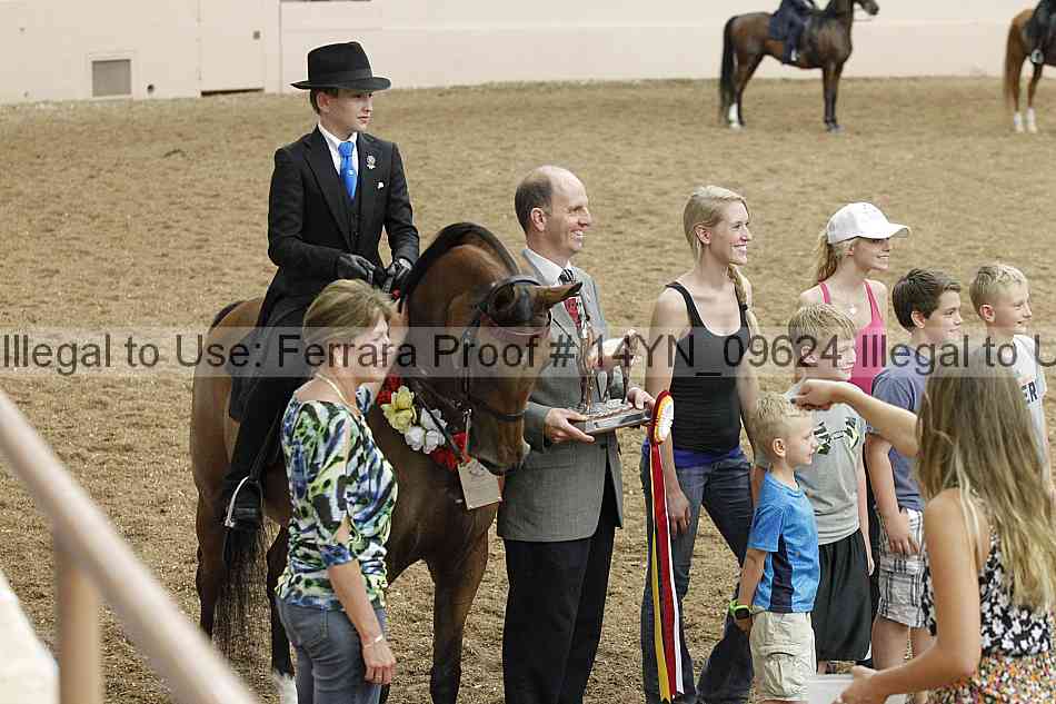 Proof 14yn_09624