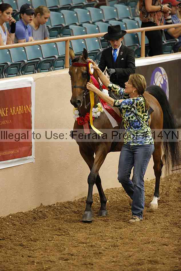 Proof 14yn_09627