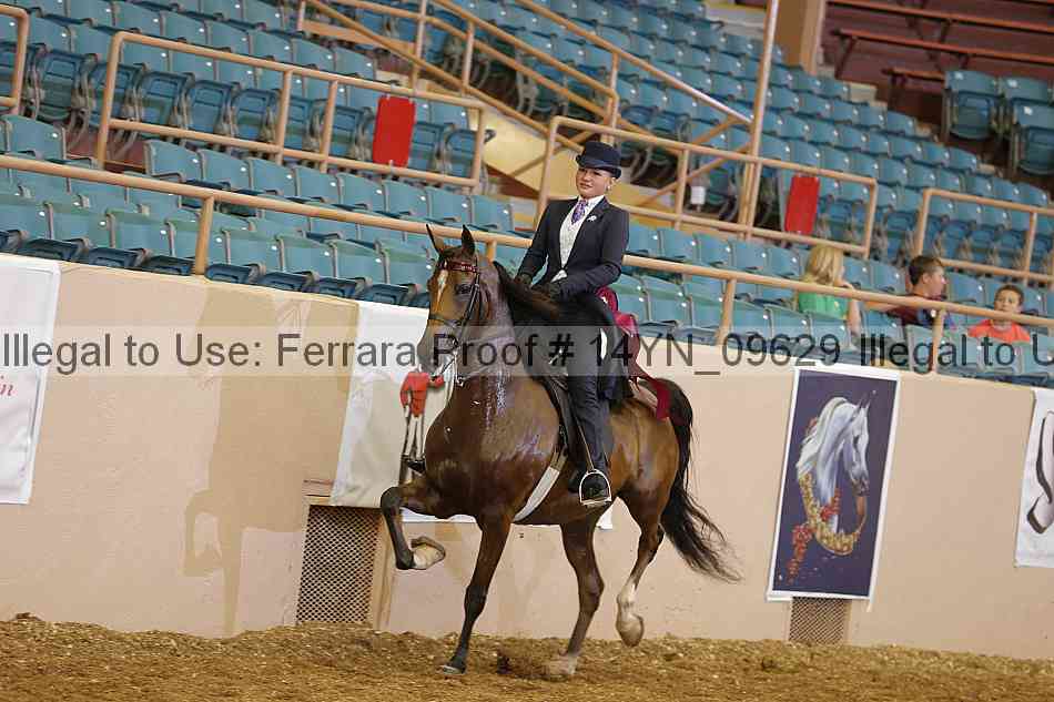Proof 14yn_09629