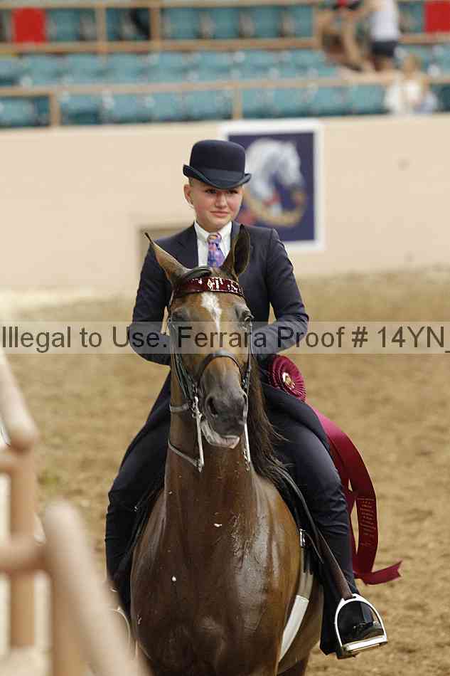 Proof 14yn_09630