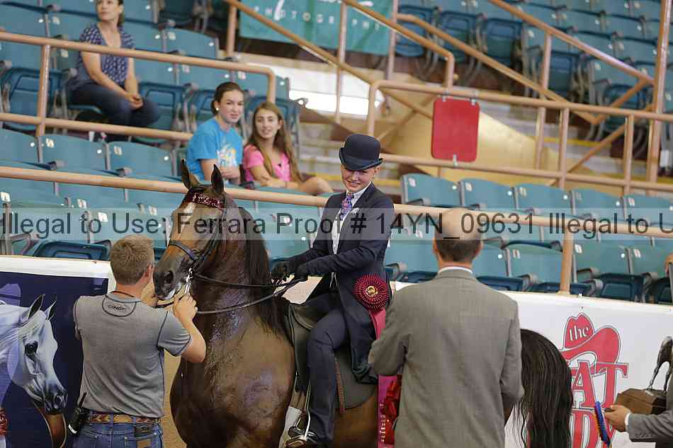 Proof 14yn_09631