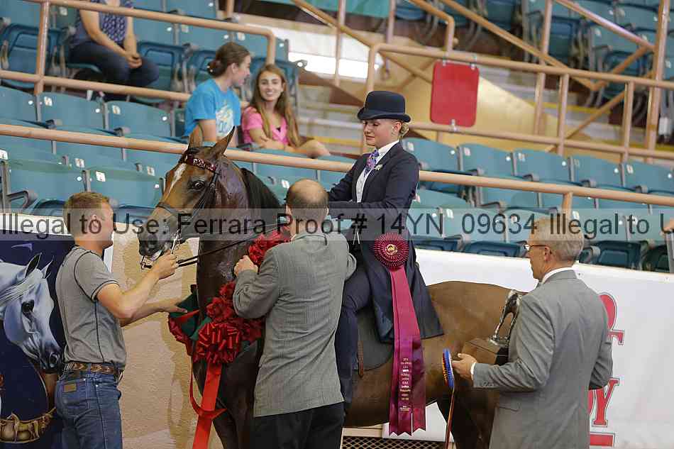 Proof 14yn_09634