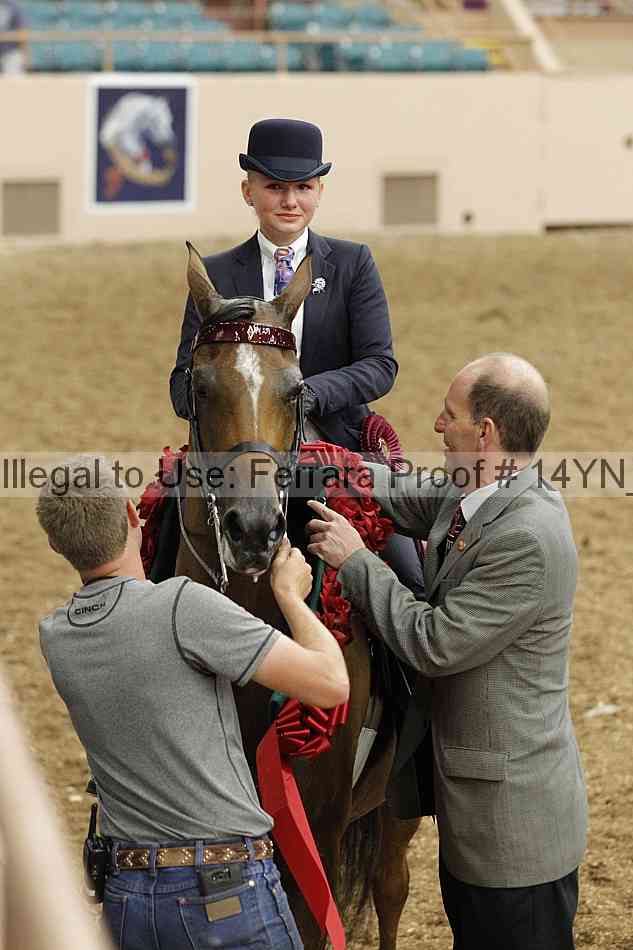 Proof 14yn_09636