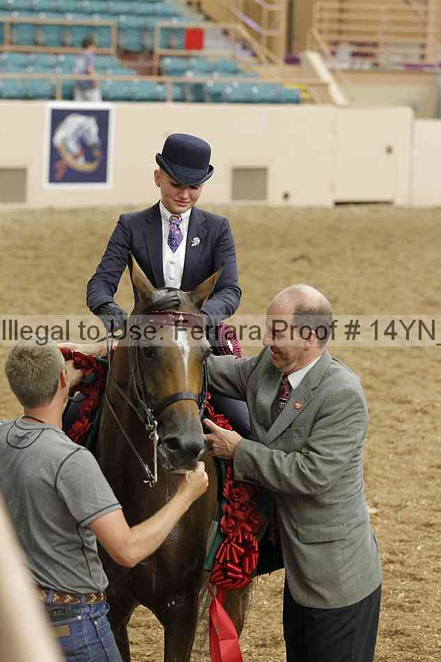 Proof 14yn_09637