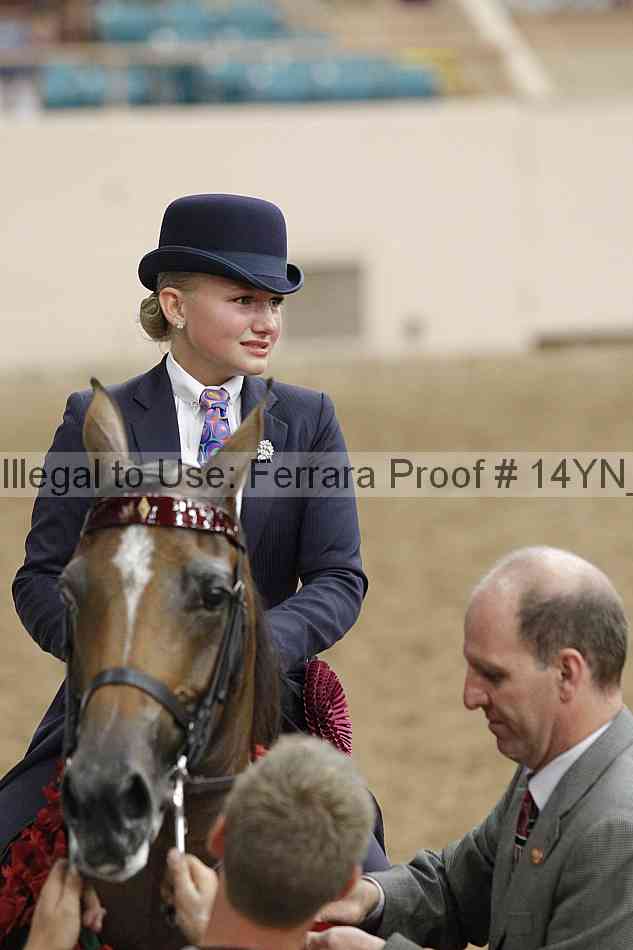 Proof 14yn_09638