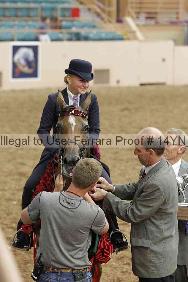 Proof 14yn_09639