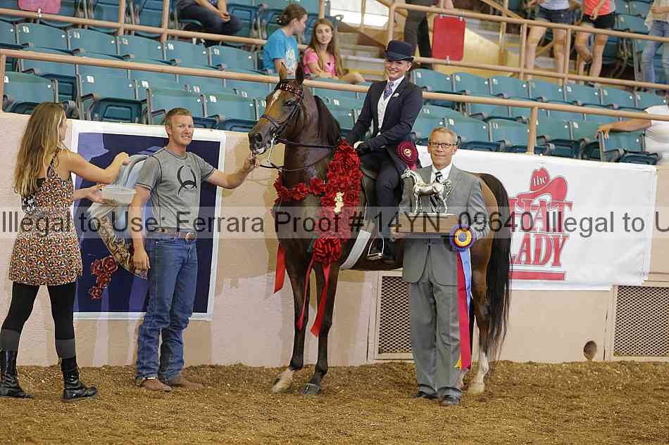 Proof 14yn_09640