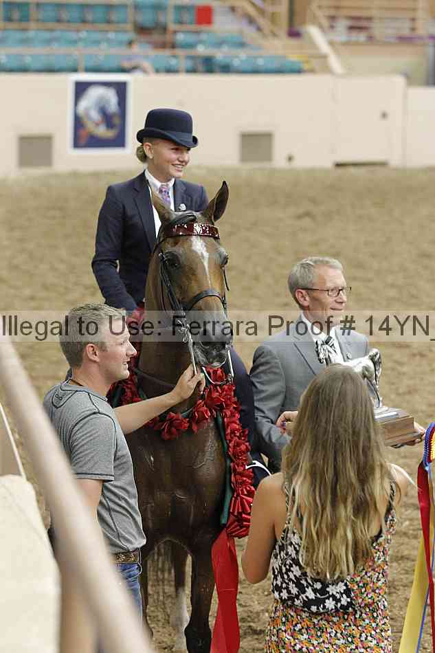 Proof 14yn_09641