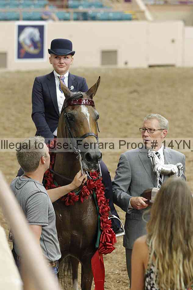 Proof 14yn_09642