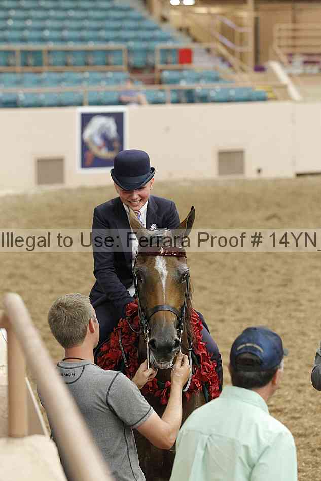 Proof 14yn_09643