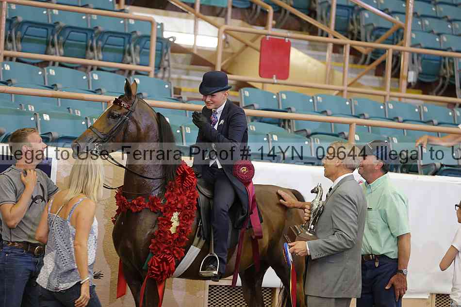 Proof 14yn_09644