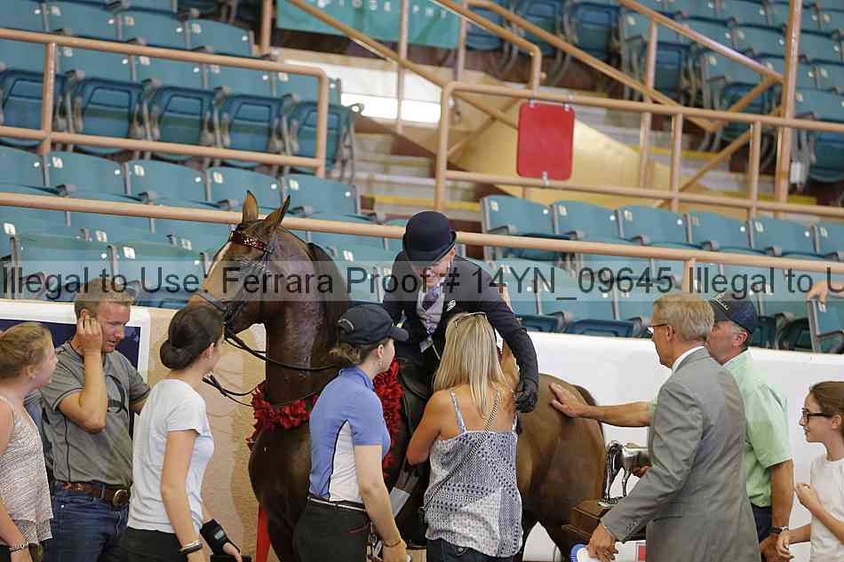Proof 14yn_09645