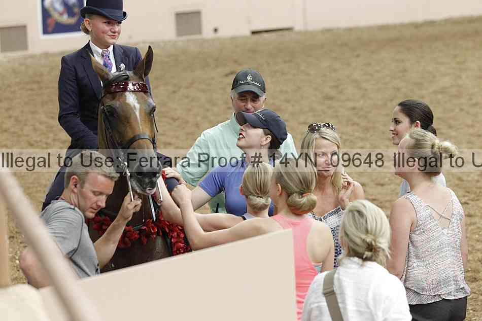 Proof 14yn_09648